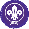 Scouts Badge Information