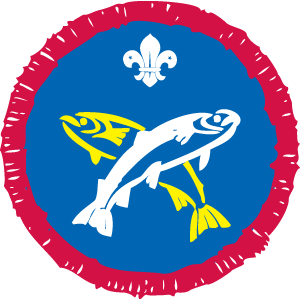 Scouts Badge Information
