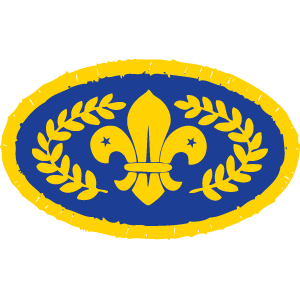 Scouts Badge Information