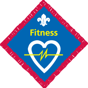 Scouts Badge Information