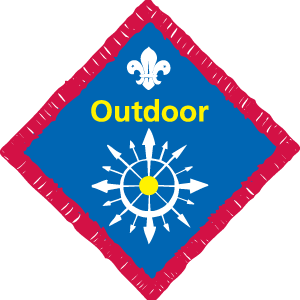 Scouts Badge Information