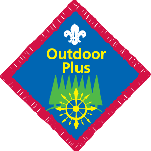 Scouts Badge Information