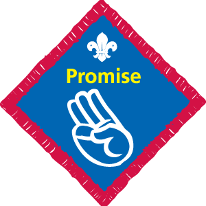 Scouts Badge Information